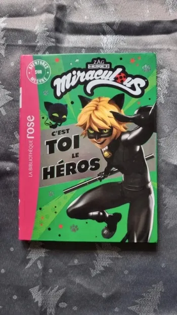Aventures sur mesure Miraculous