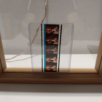 Pellicule démon slayer inosuke