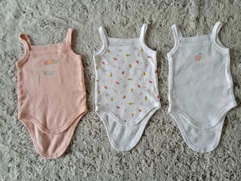 Lot 3 bodies