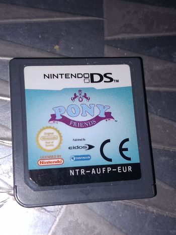 Pony Nintendo ds