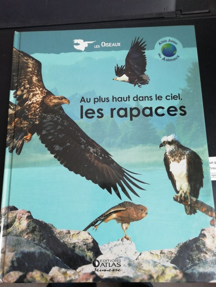 lot 3 Atlas junior des animaux dinosaures,rapaces,ours blanc - photo numéro 3
