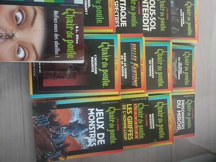 Livre chair de poule - photo numéro 6