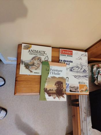 Lots de 3 livres de dessins
