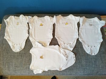 Bodies manches courtes 3 mois