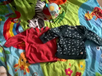Pulls kiabi 3 mois