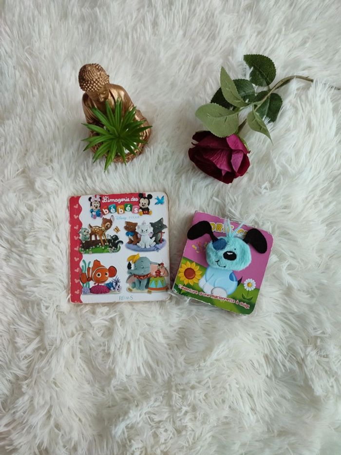 Lot 2 livres bébé