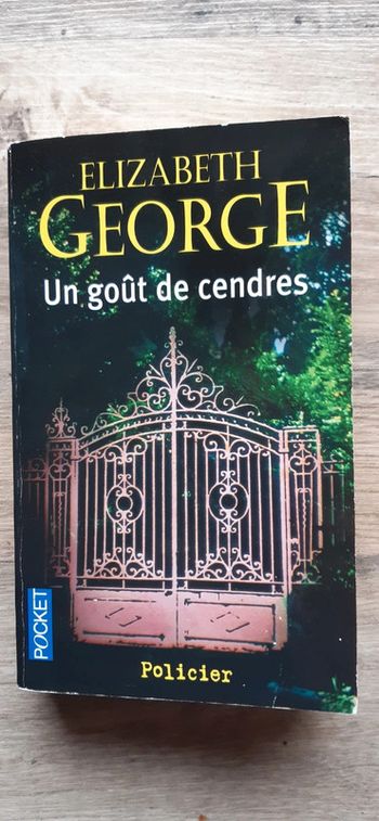 Livre Un goût de cendres
