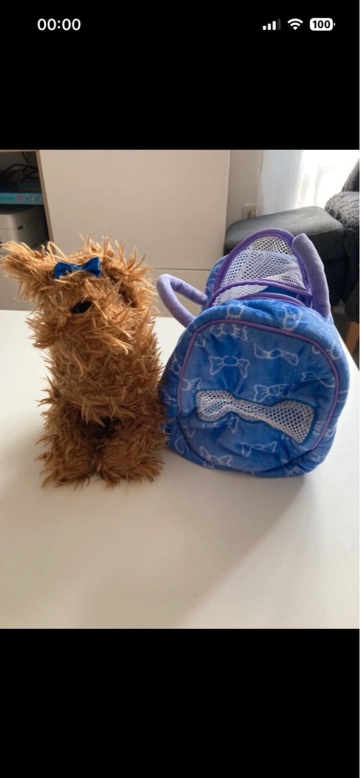 Petit chien modèle décoiffé et son panier/sac de transport