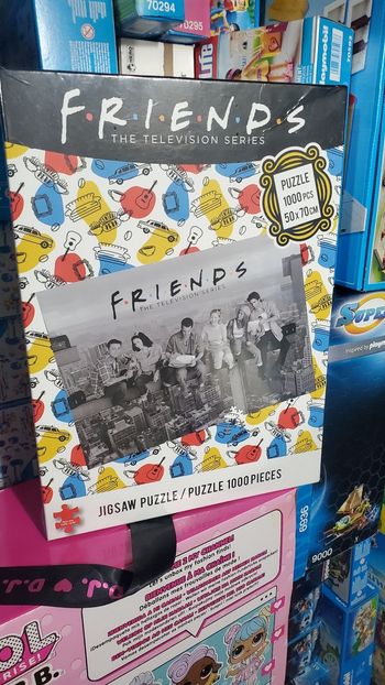 Puzzle Friends 1000 pièces Neuf.