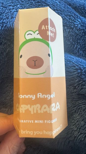 Sonny Angel Capybara