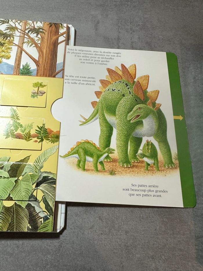 📚 Explore! Les dinosaures – mes premières découvertes (Gallimard Jeunesse) - photo numéro 8