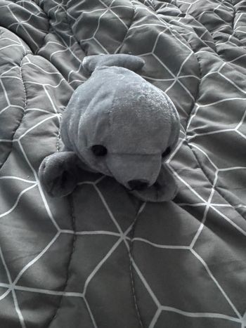 Otarie 🦭 en peluche