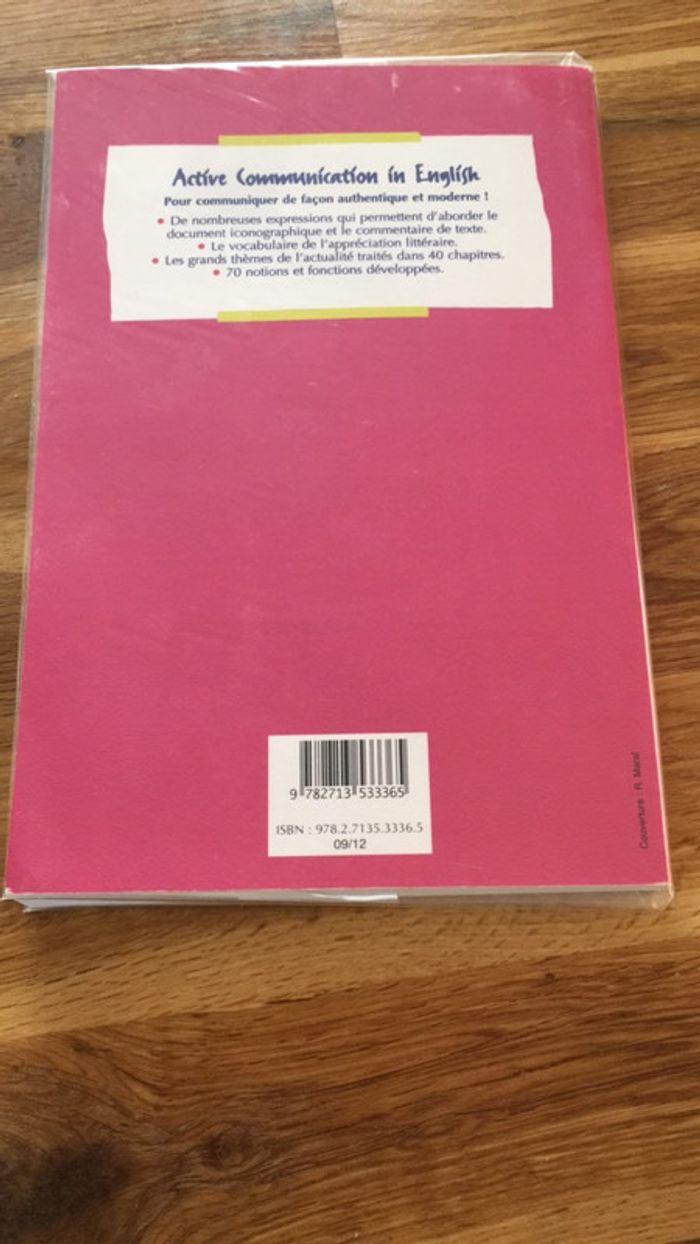 Active communication in english casteilla 9782713533365 - photo numéro 2