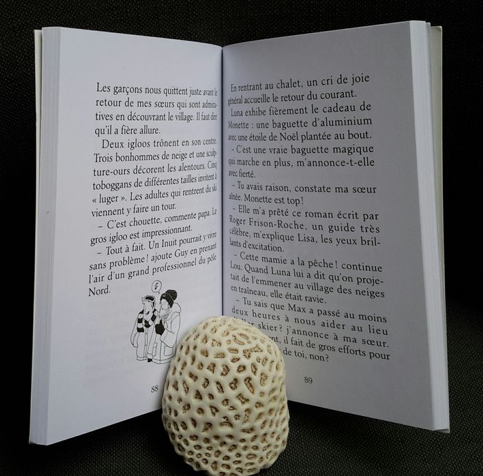 Livre 4 Sœurs dans la tempête (A partir de 9 ans) - photo numéro 2