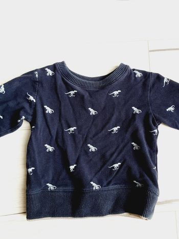 Vêtement garçon dinosaures Zeeman  4 ans