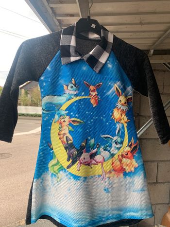 Robe Pokémon