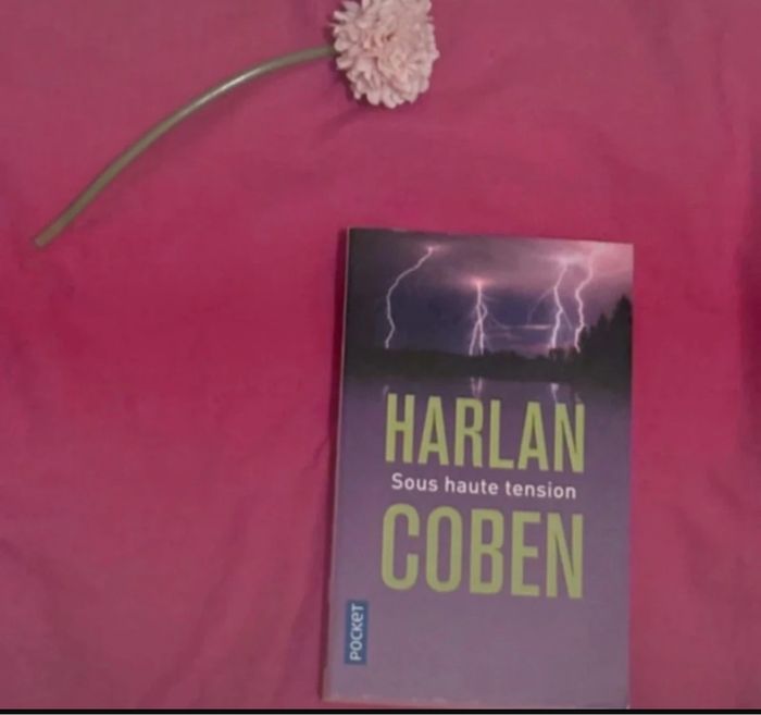 Sous haute tension - photo numéro 2