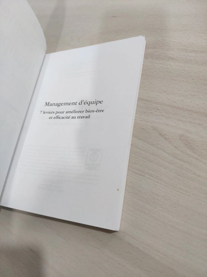 Livre management équipe 7 leviers améliorer bien être efficacité professionnelle Brun - photo numéro 6