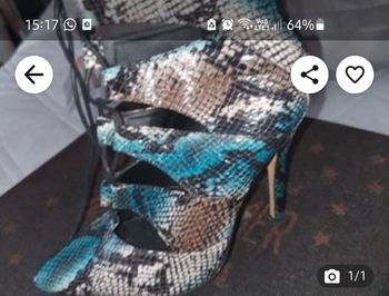 Chaussure serpent marron turquoise