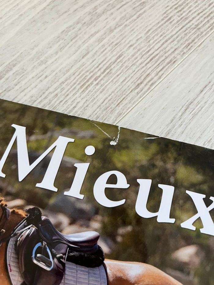 Lot cheval magazine 2023 - photo numéro 4