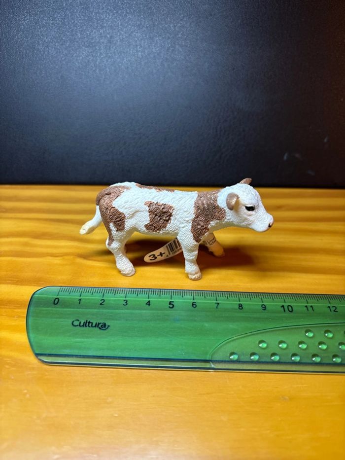 Veau simmental - photo numéro 5