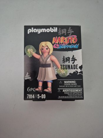 Playmobil 71114