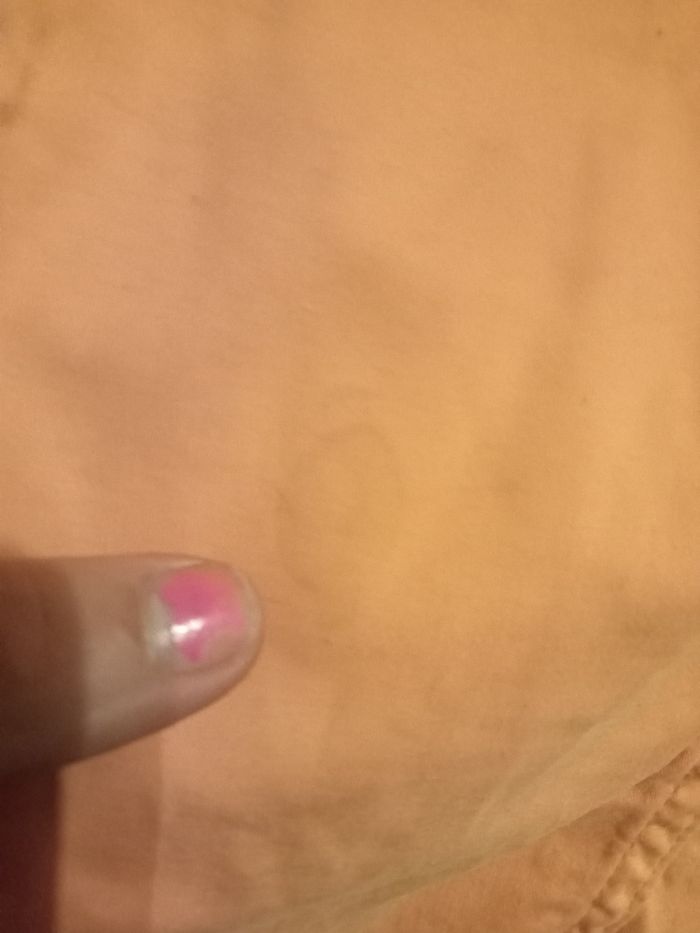 Pantalon - photo numéro 3