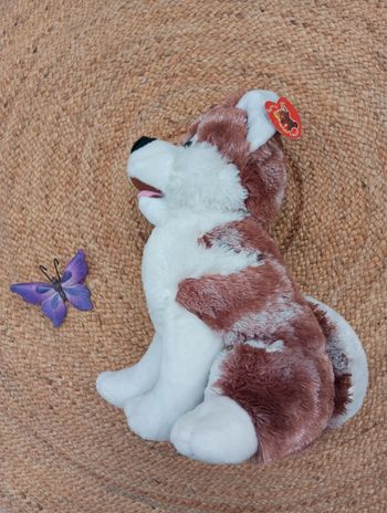 Grand husky neuf
