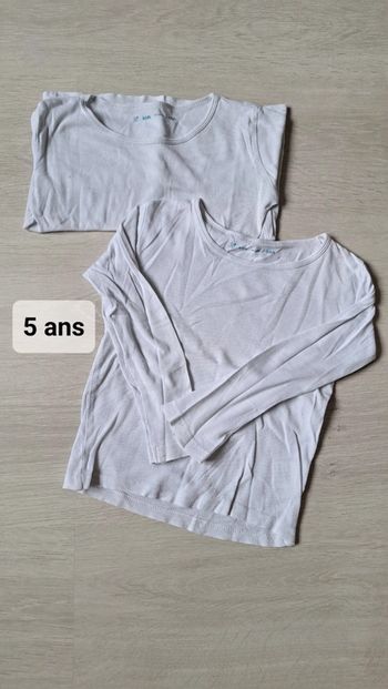 Lot 2 tee-shirts manches longues