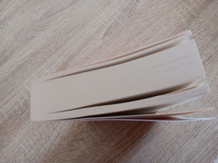 Livre Une (toute) dernière chance - photo numéro 4