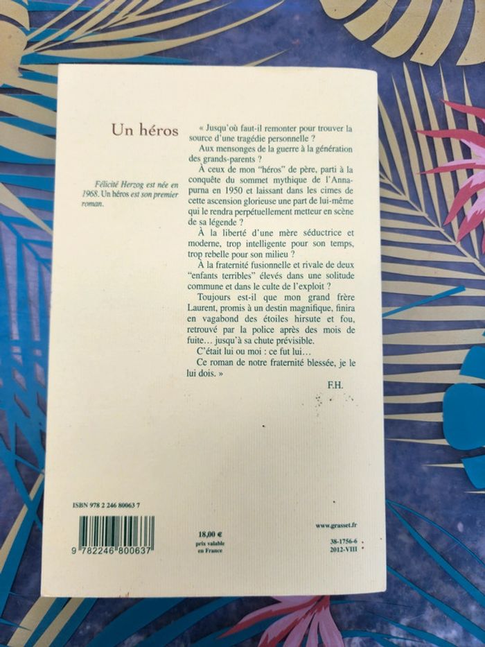 Livre broché "un héros" de Félicité Jerzog - photo numéro 2