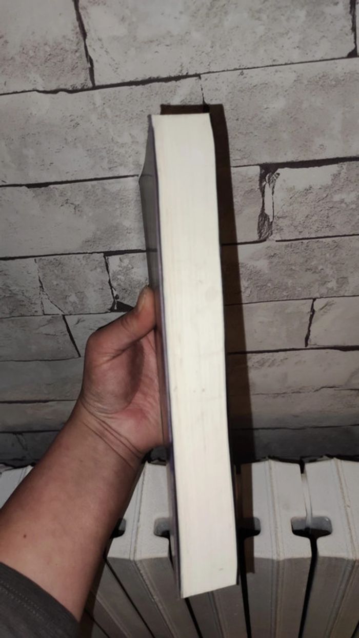 Jeux de dupes - Nicci French - France loisirs - photo numéro 2