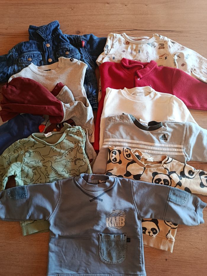 Lot veste et sweats 18 mois