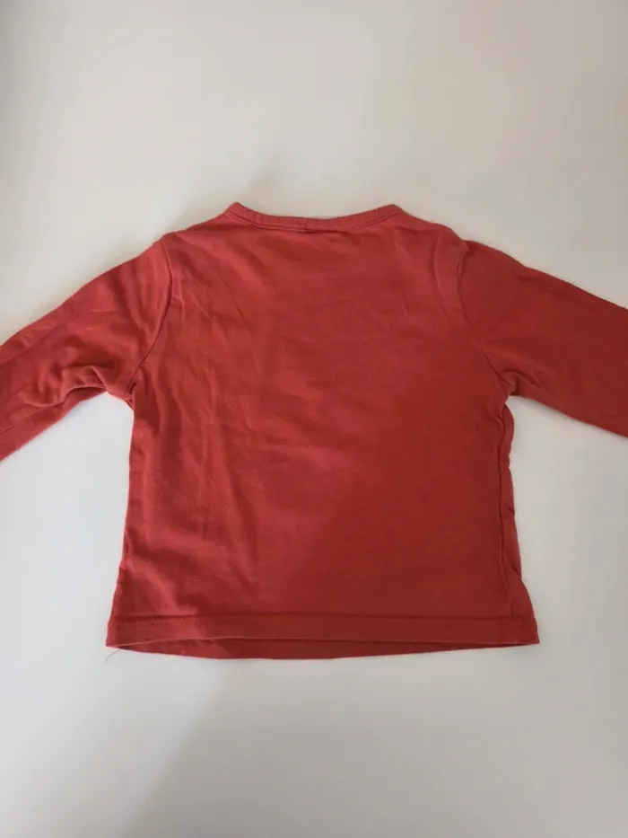 Tee shirt rouille - photo numéro 2