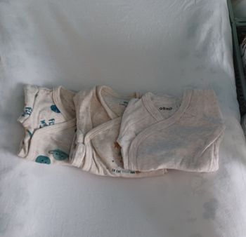 3 Bodies