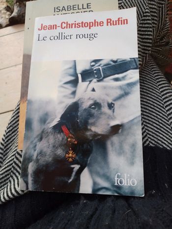 Livre Ruffin Le collier rouge