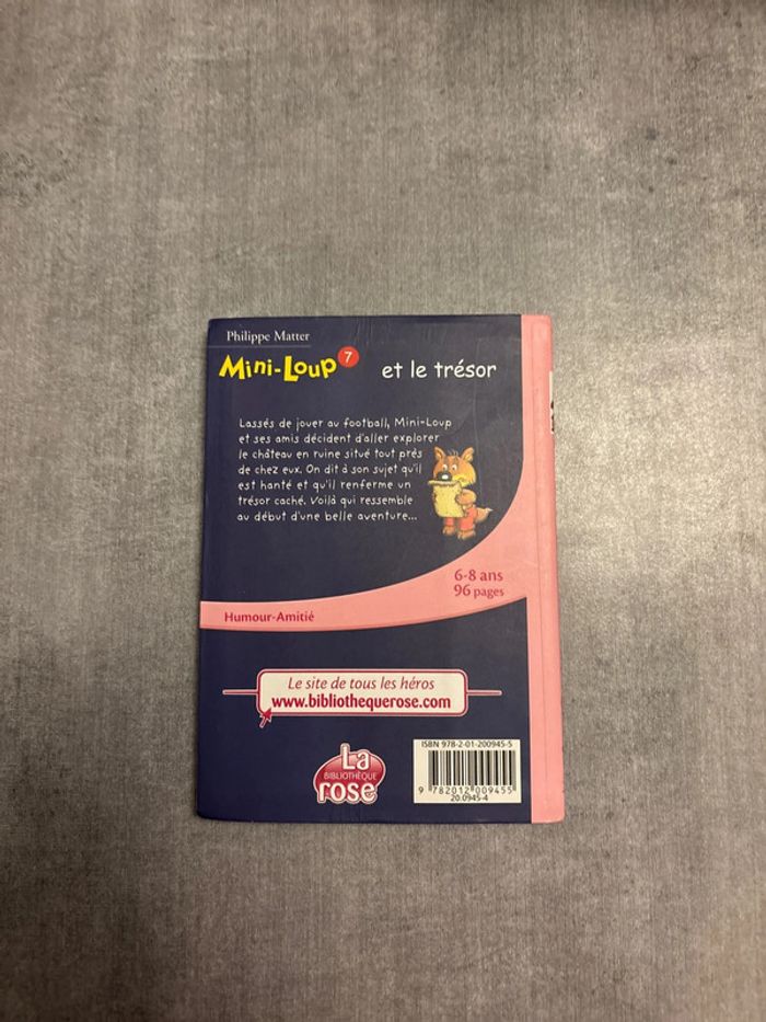 Livre Mini-Loup et le trésor - photo numéro 3