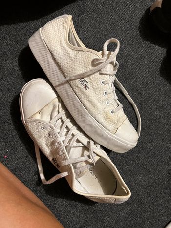 Basket Lacoste toile