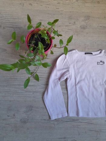 Haut week-end à la mer 8 ans
