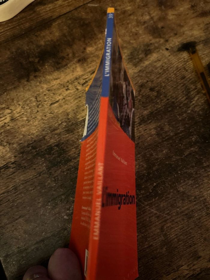 l’immigration - photo numéro 3