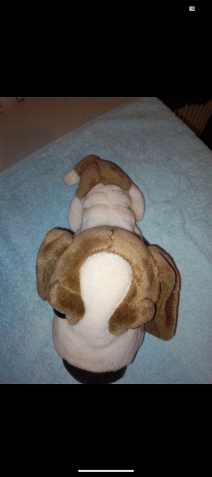 Peluche chien - photo numéro 4