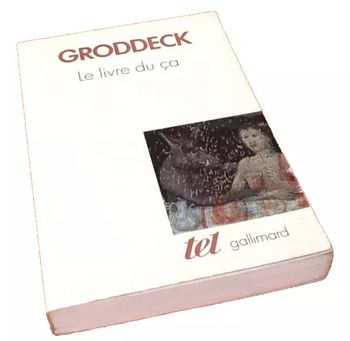 Georg Groddeck Le livre du ça