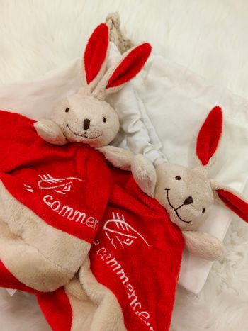 Lot de 2 doudou plat rond Lapin beige rouge Caisse D’Épargne