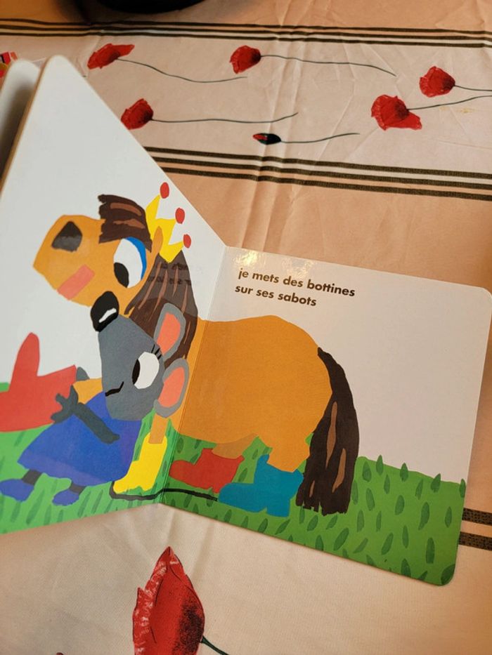 Le poney de kiko - photo numéro 8