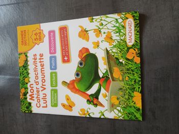 mon cahier d'activites lulu vroumette grande section 5/6 ans 