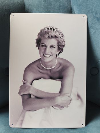 Plaque métal Lady Diana Spencer Angleterre neuve 20x30cm