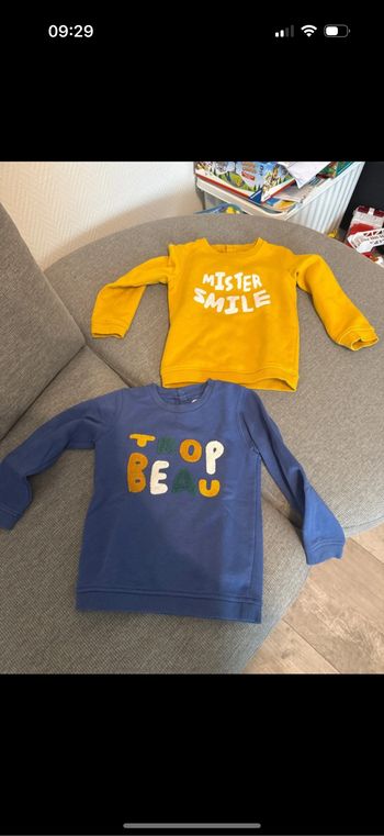 Lot de 2 sweats garçon 4 ans gemo