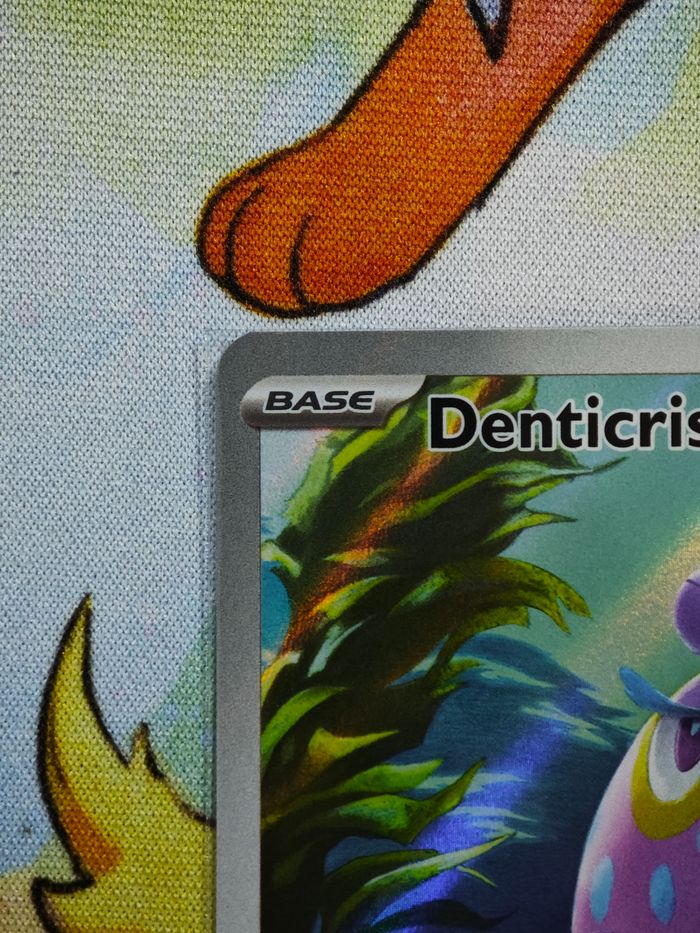 Denticrisse 200/191 - photo numéro 7