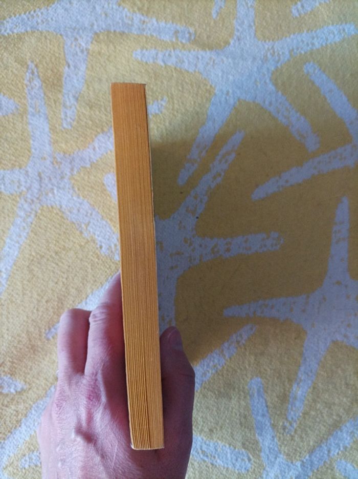 Livre " le livre de la jungle" Kipling neuf - photo numéro 4