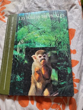 Les forêts tropicales